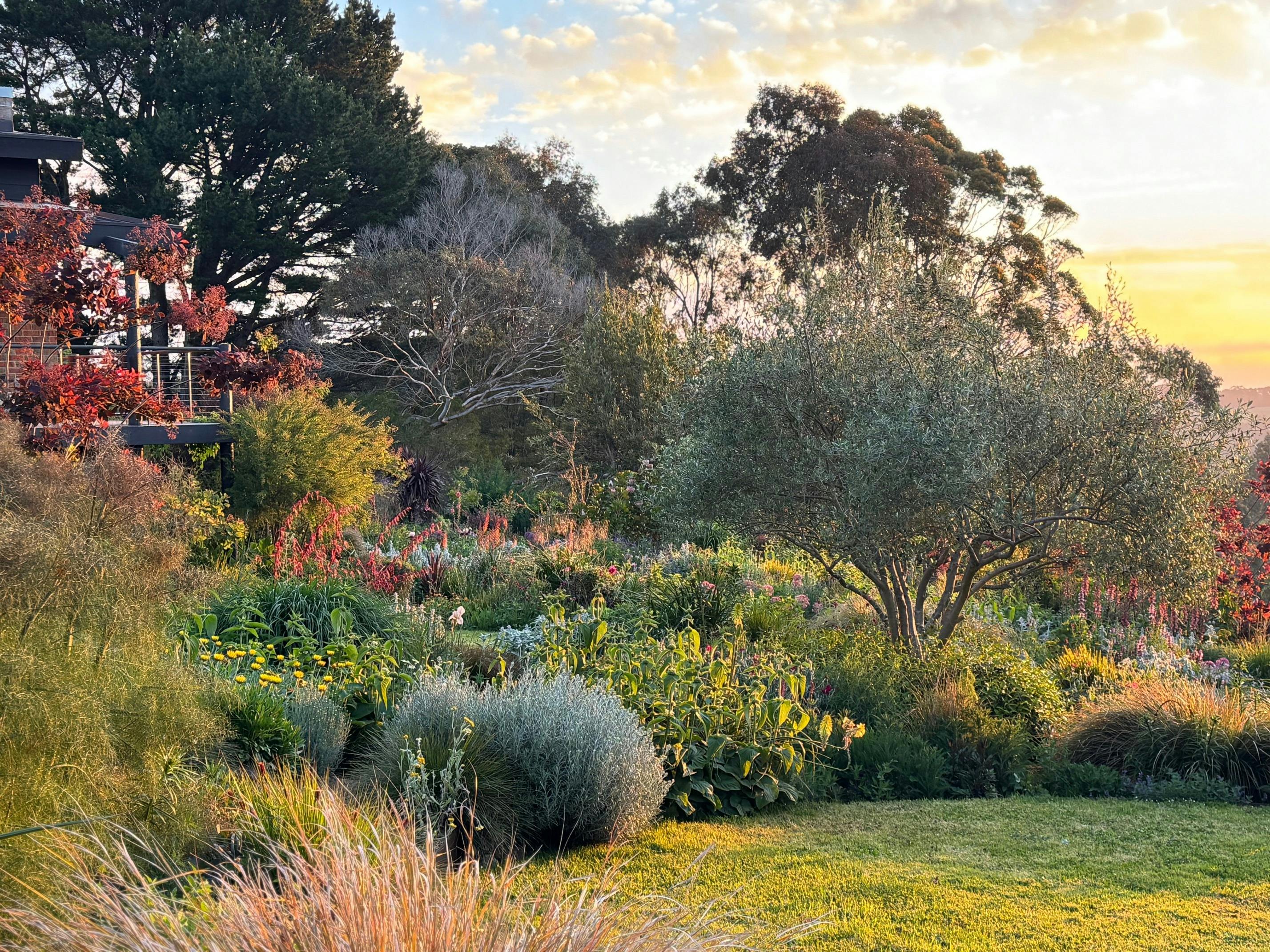 Open Gardens Victoria - The Winter Garden, views across plant beds