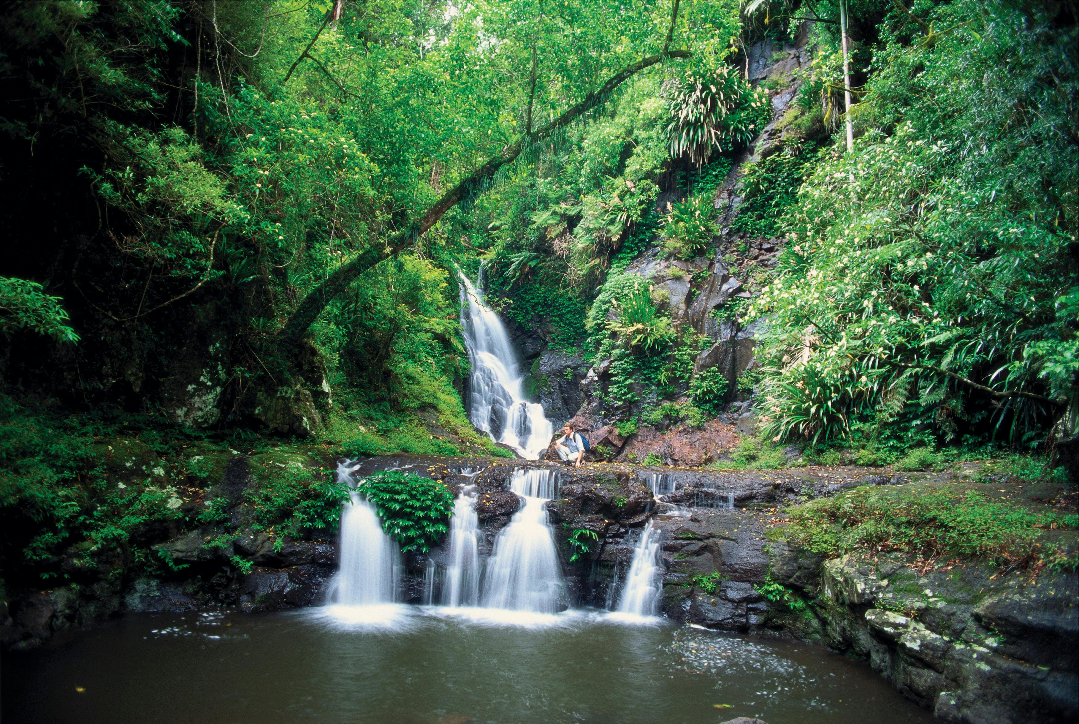 Gold Coast Hinterland 3-Day Pack Free Guided Walk from Life's An Adventure