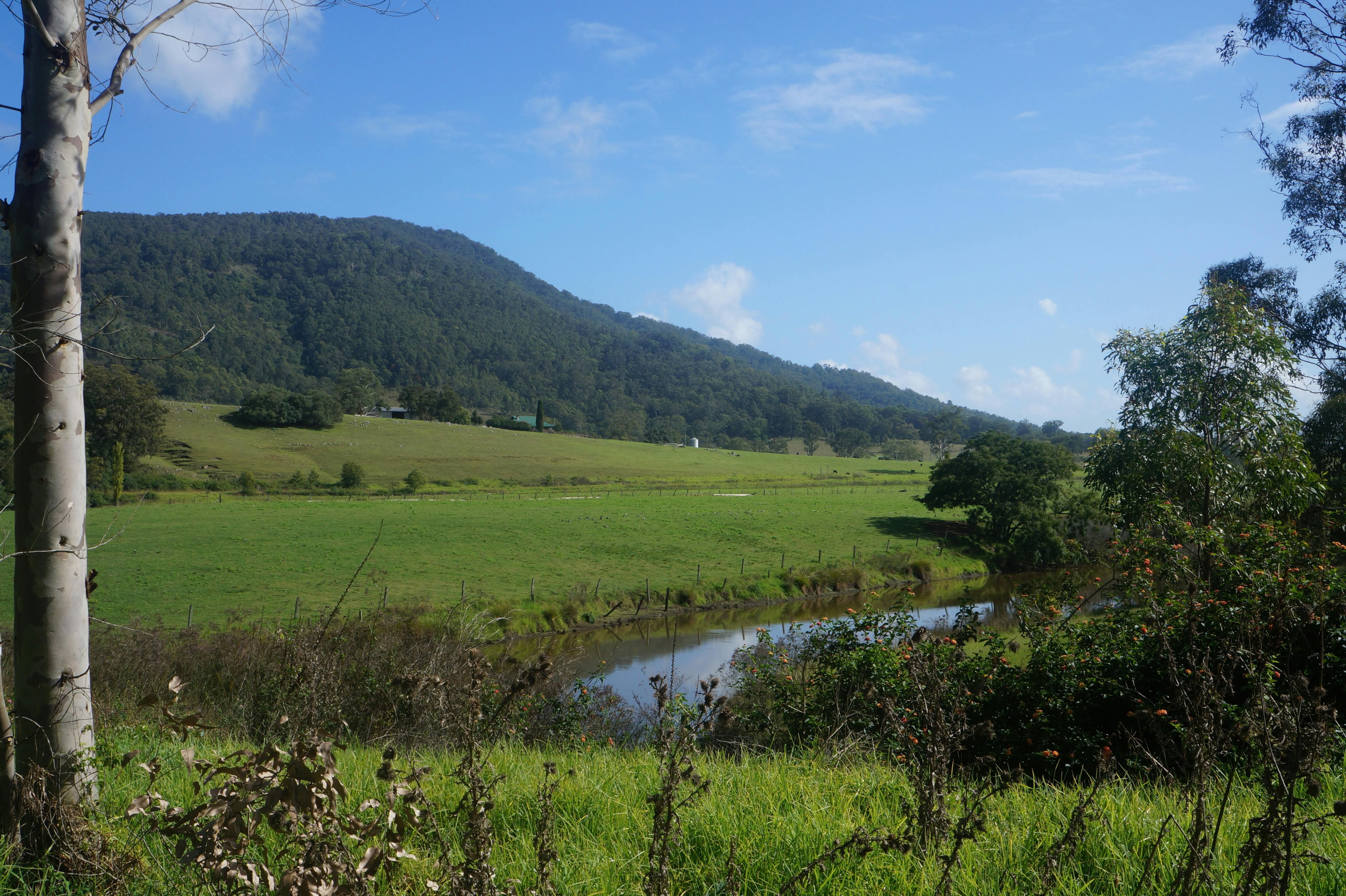 パターソン サービス ステーション カフェ