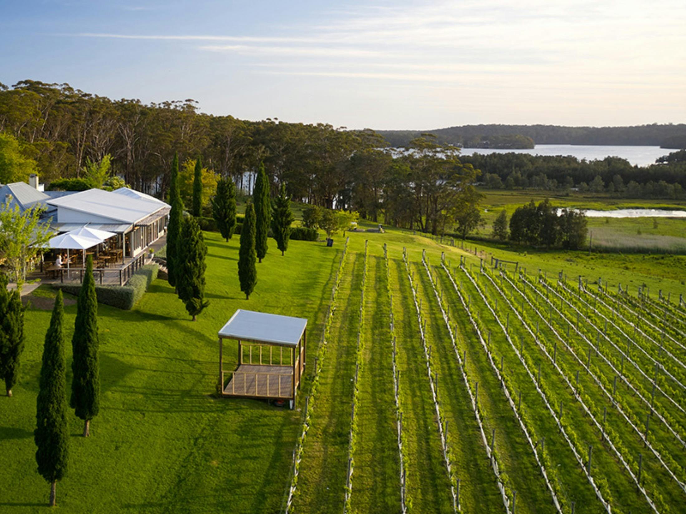 The Cup Estate Winery