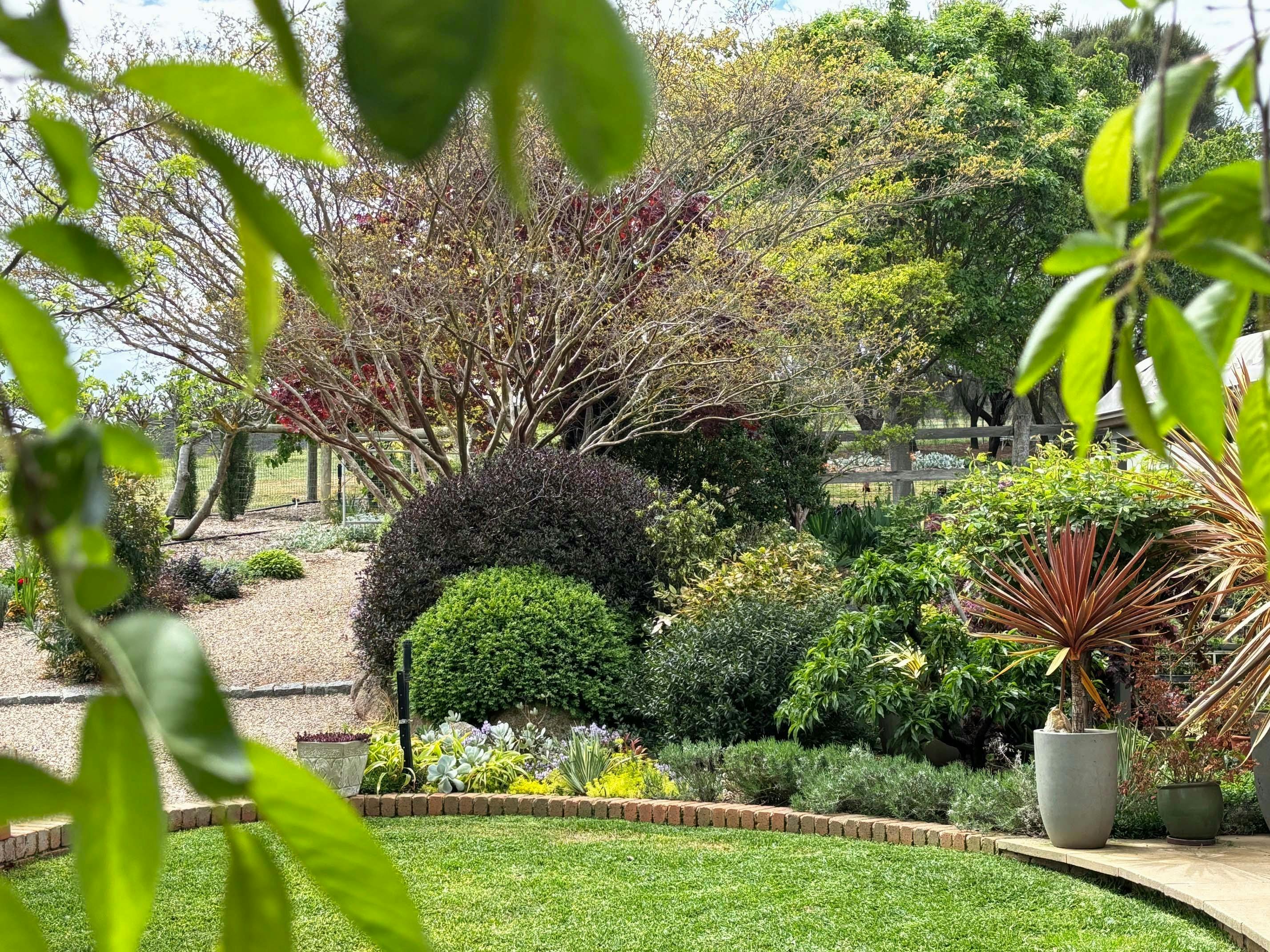 Open Gardens Victoria - Granite Garden, lawn and border beds