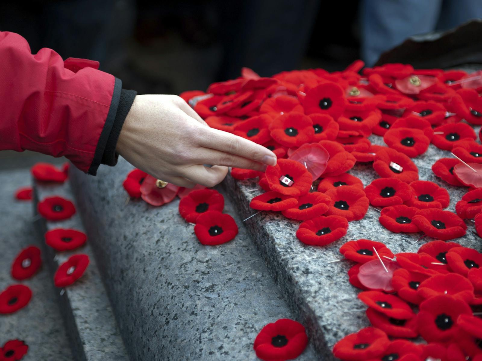 Image for Remembrance Day Service