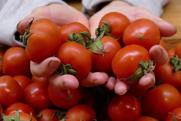 Adelaide Central Market Wellness Tour