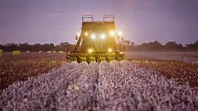 Southern Cotton Gin