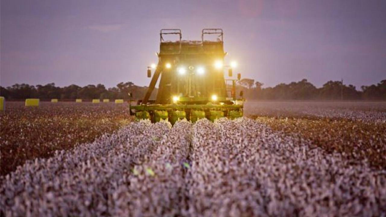 Southern Cotton Gin