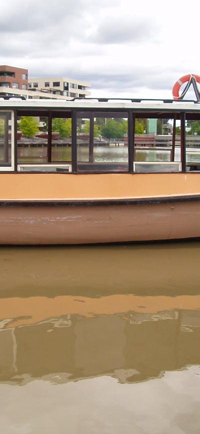 Gull ready to start the day