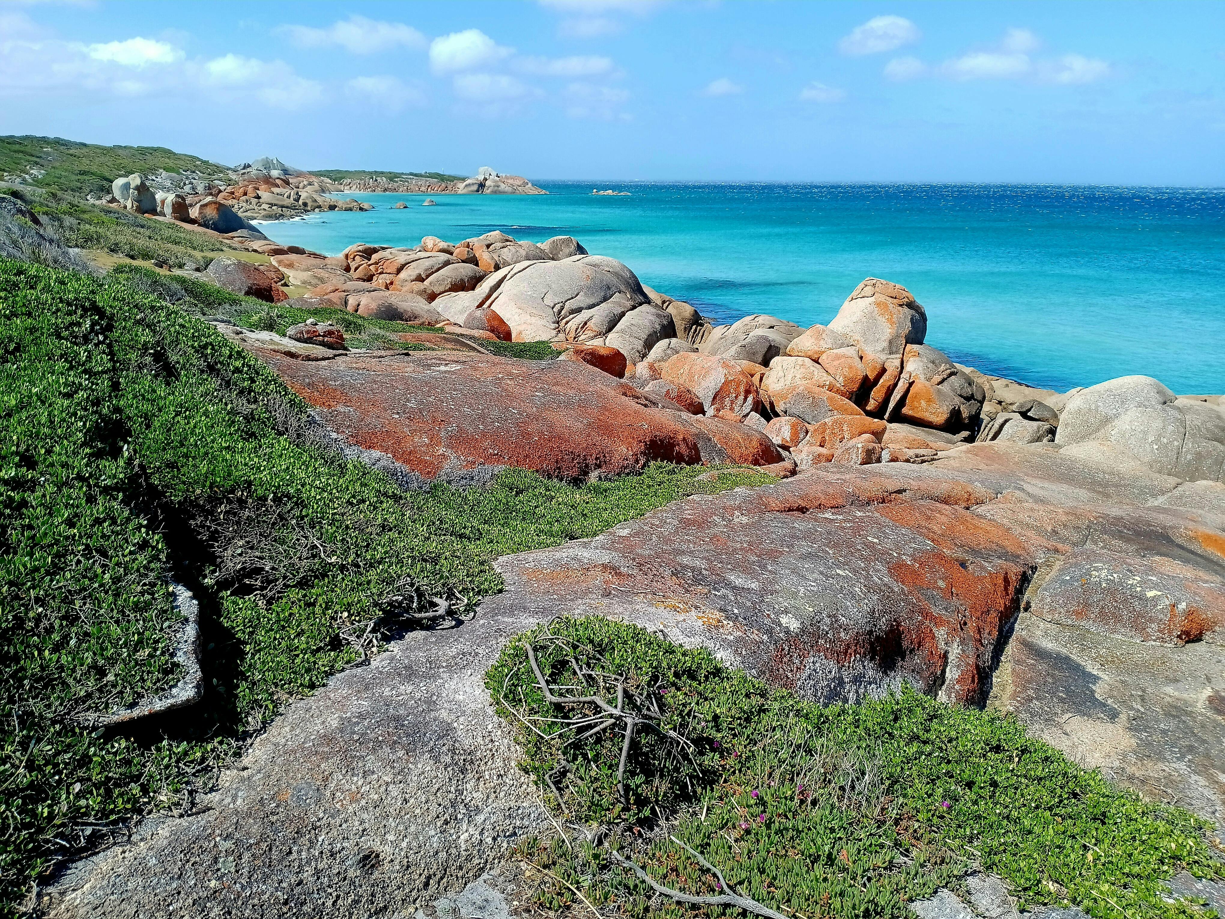 Wide coastal landscape view of Bay of Fires Tasmania with granite rocks, blue ocean and coastal vege