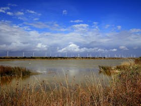 Windfarm Lake Bonney