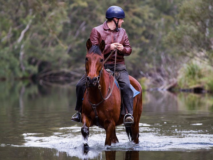 In summer you can even swim with the horses!