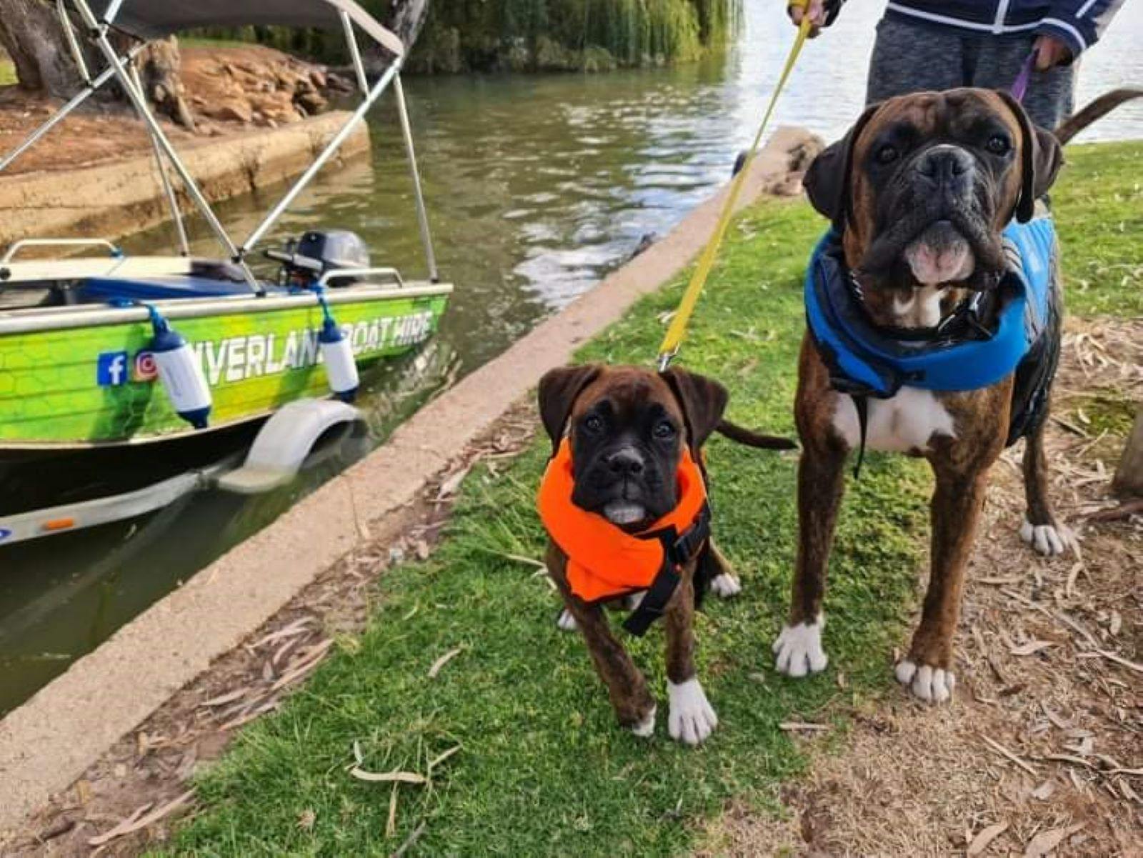 We are dog friendly!