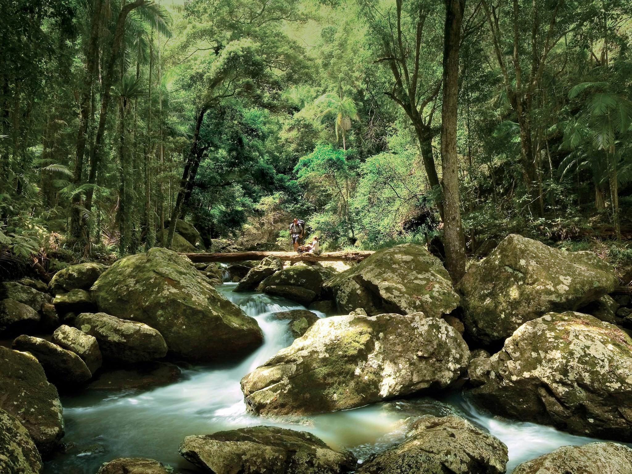 Great Walk Sunshine Coast Hinterland Great Walk Sunshine Coast Hinterland