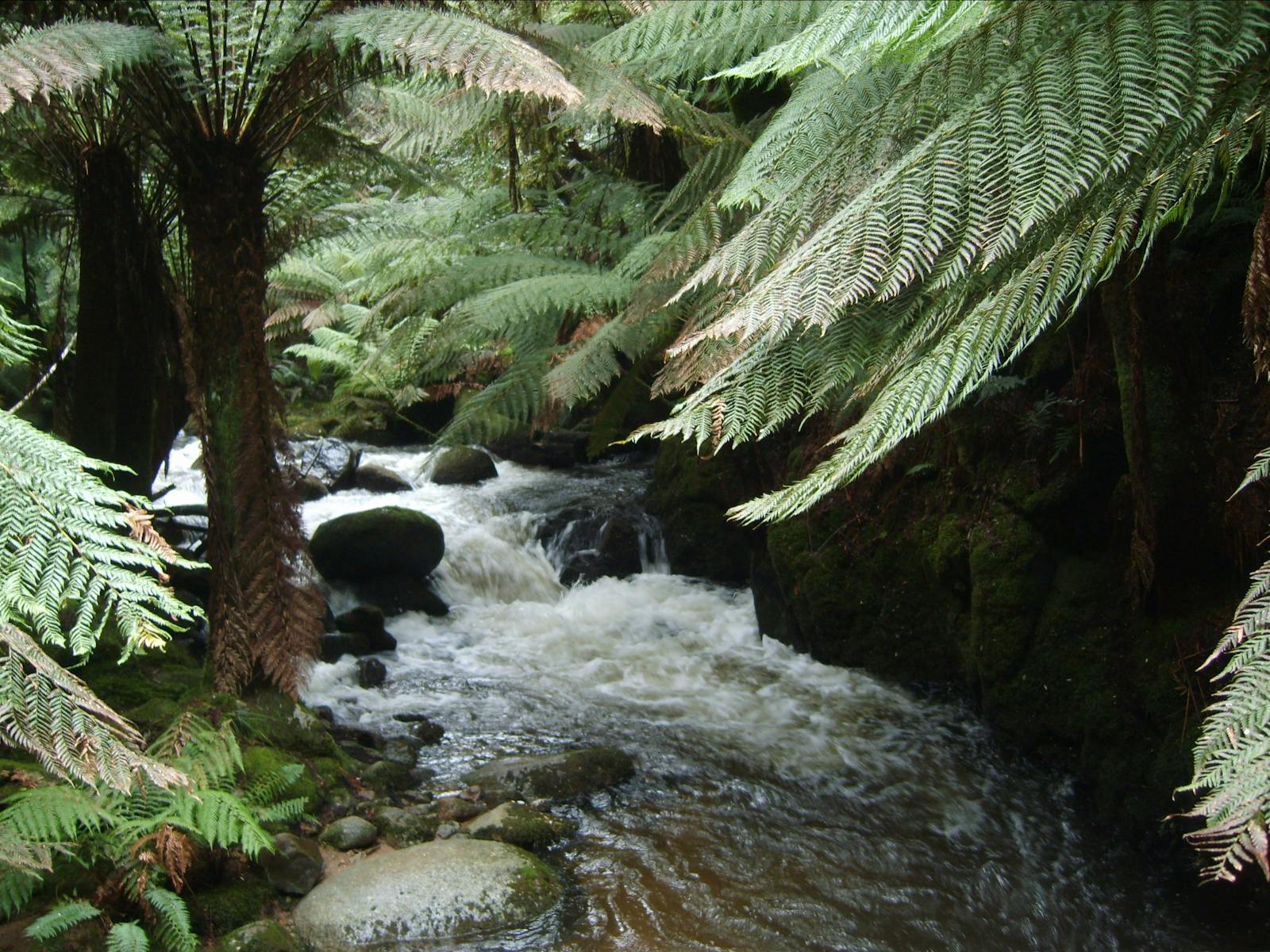 West Coast Wilderness Tour