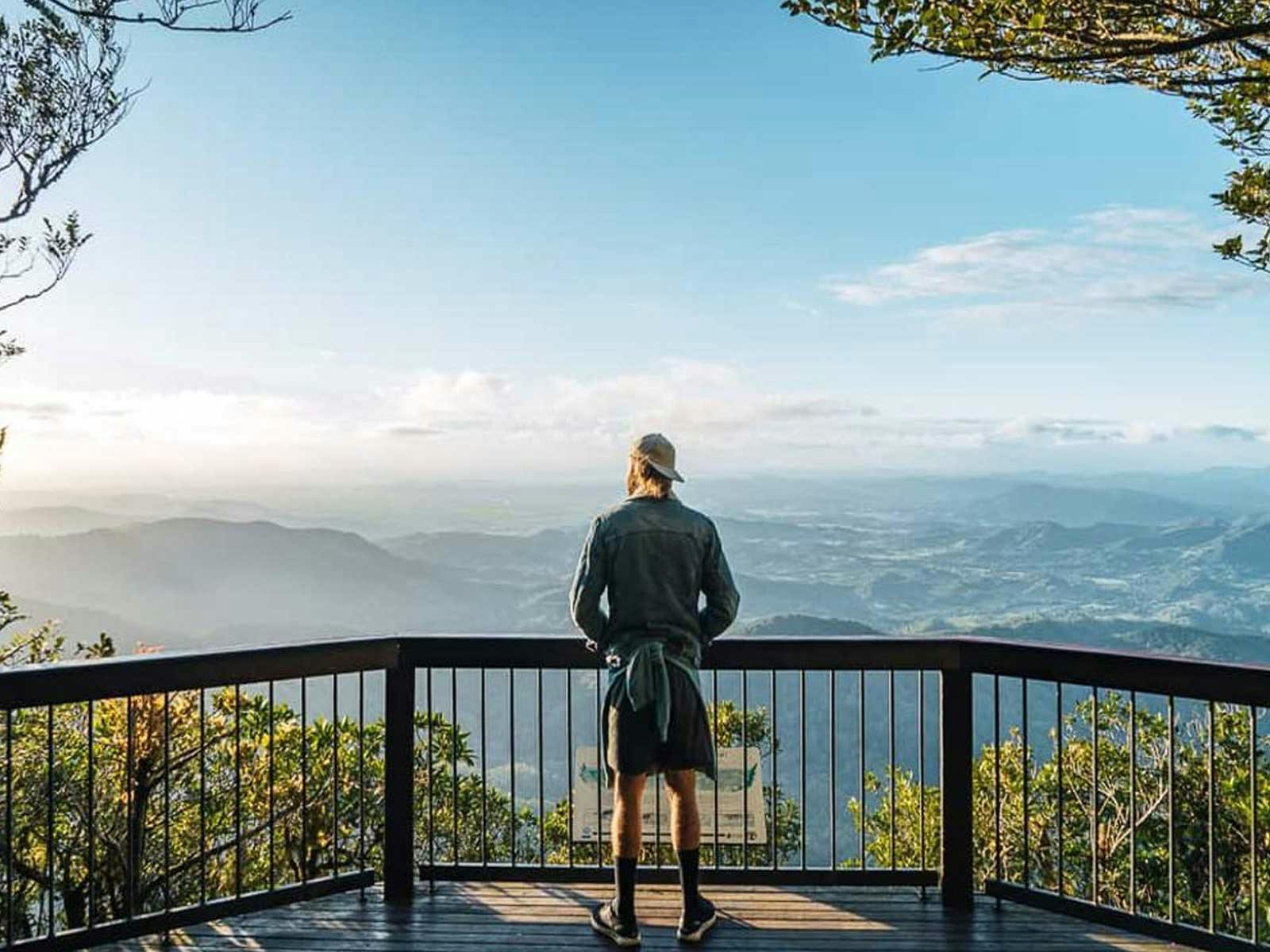 Gold Coast Hinterland Explorer Day Pass