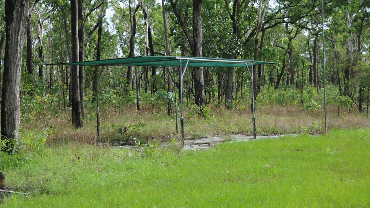 Shelter, no doubt erected for use with the ANZAC day cricket matches.