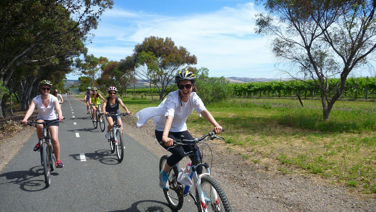ride through the vines