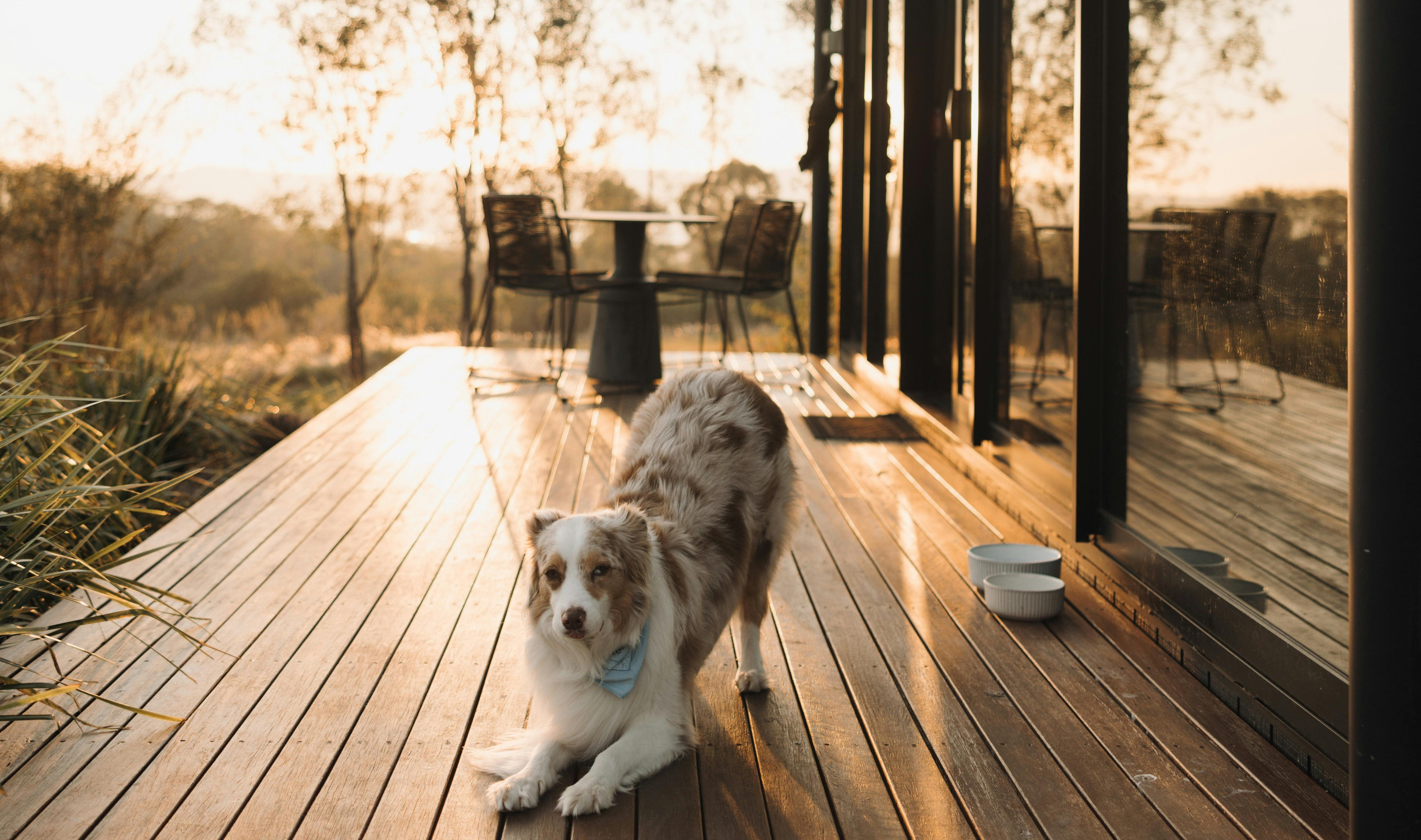 Wander in the Scenic Rim
