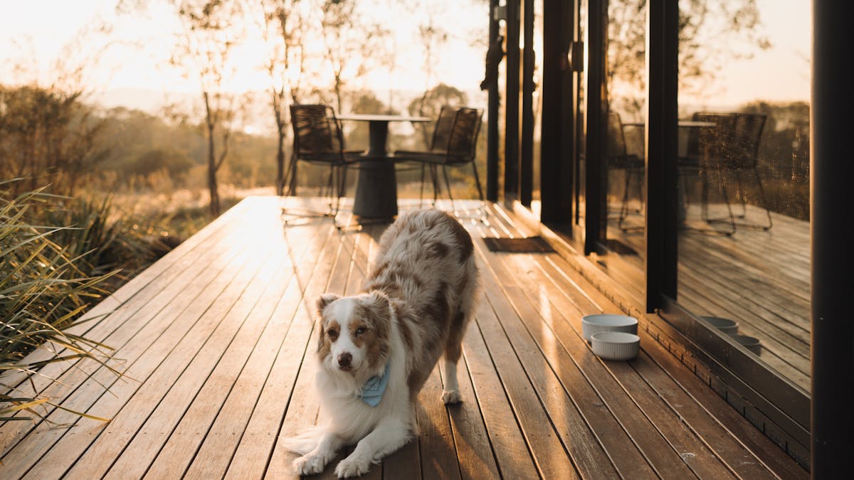 Wander in the Scenic Rim