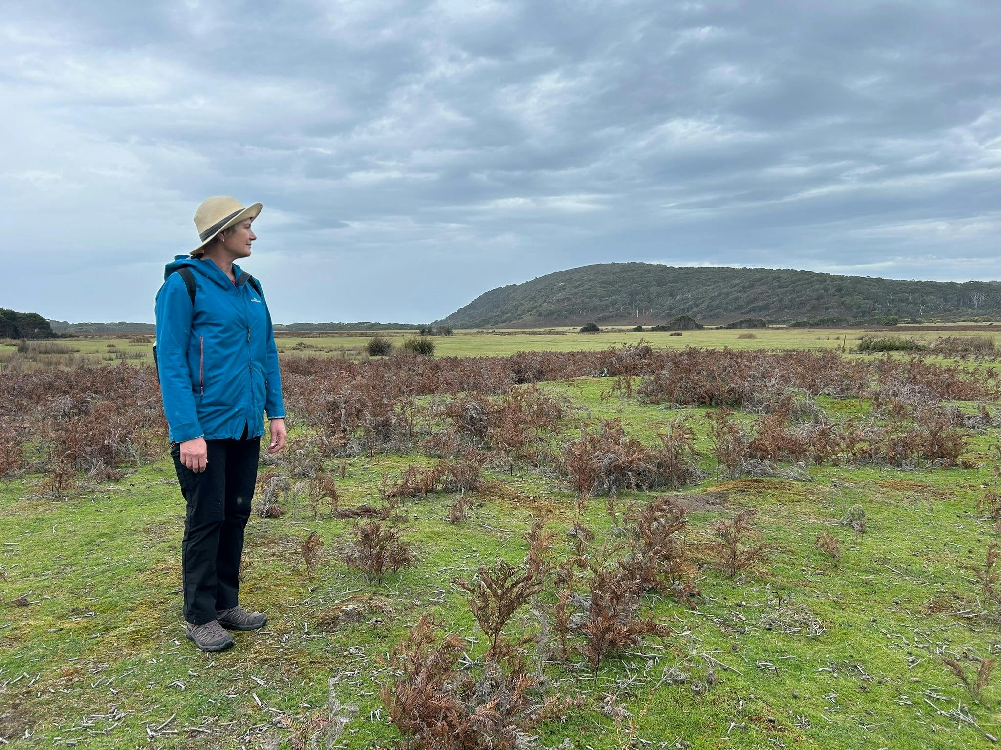 A woman looking out over an open field