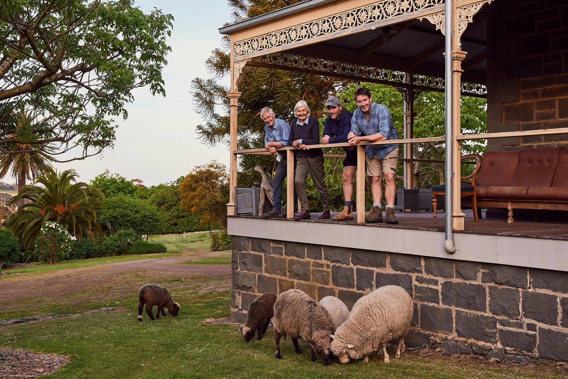 The sheep and hosts at Tarndwarncoort
