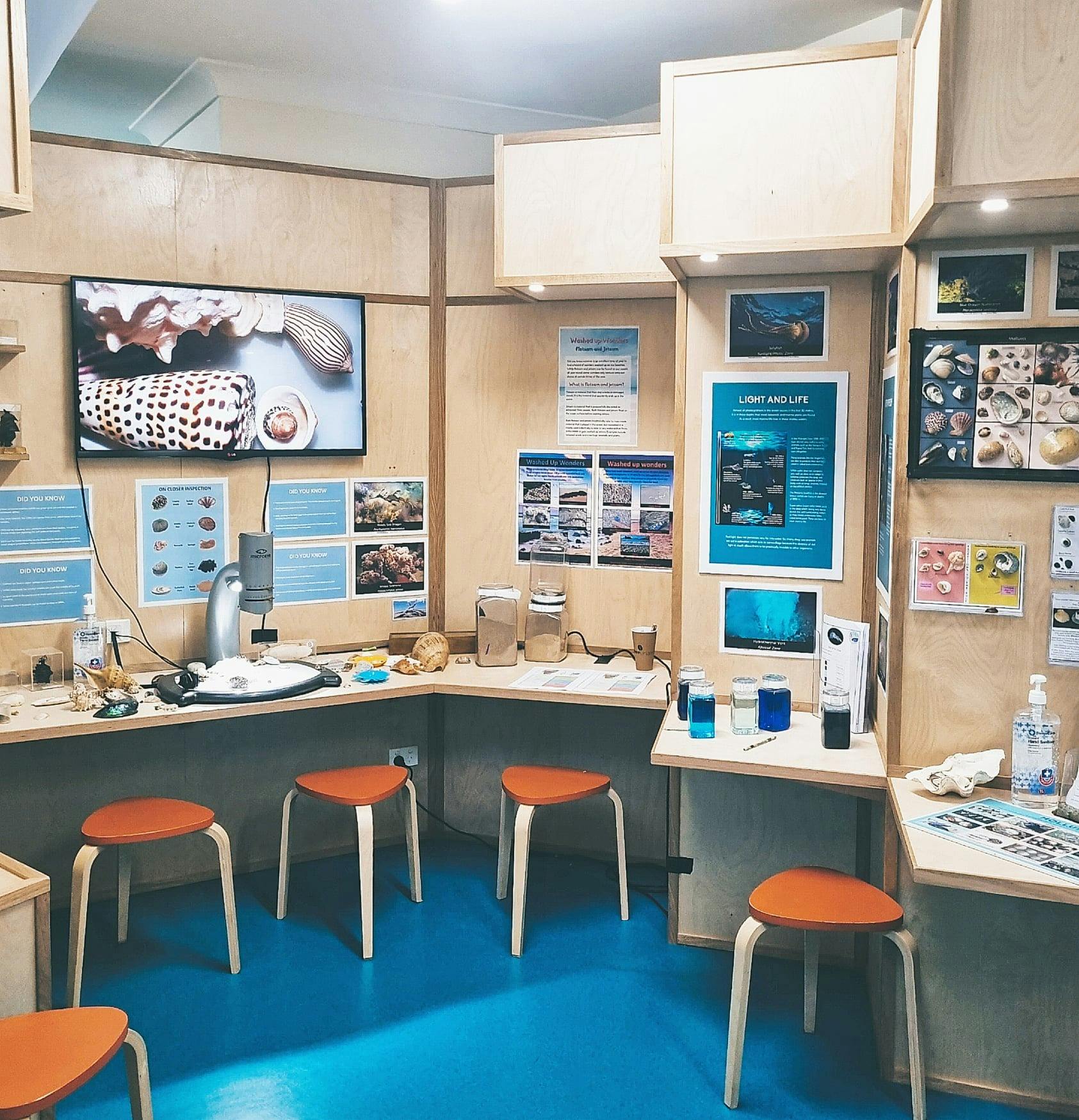 Image of the Interactive Science Area, with shells and various marine specimens and TV microscope