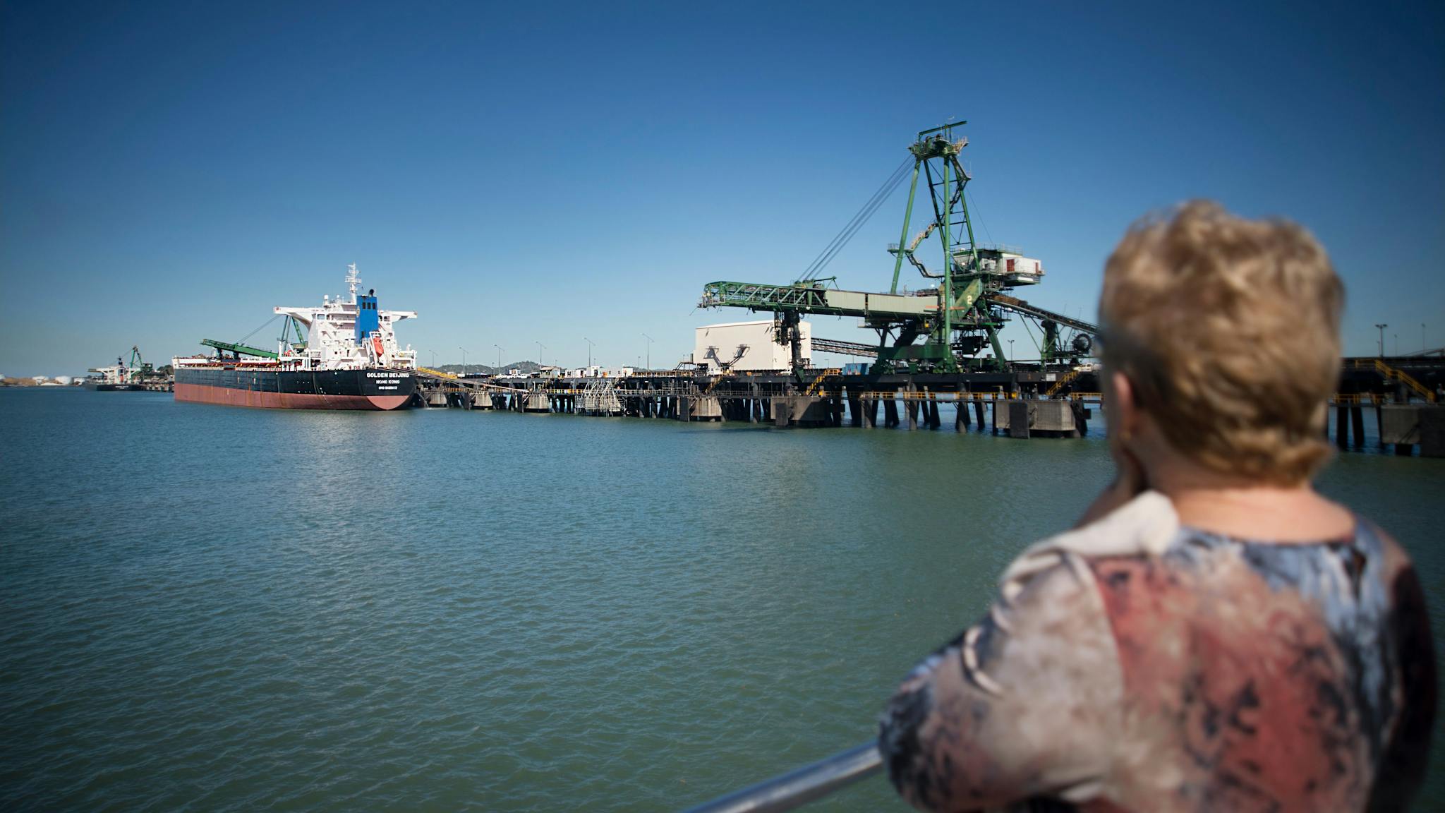 Harbour cruiser enjoying the view