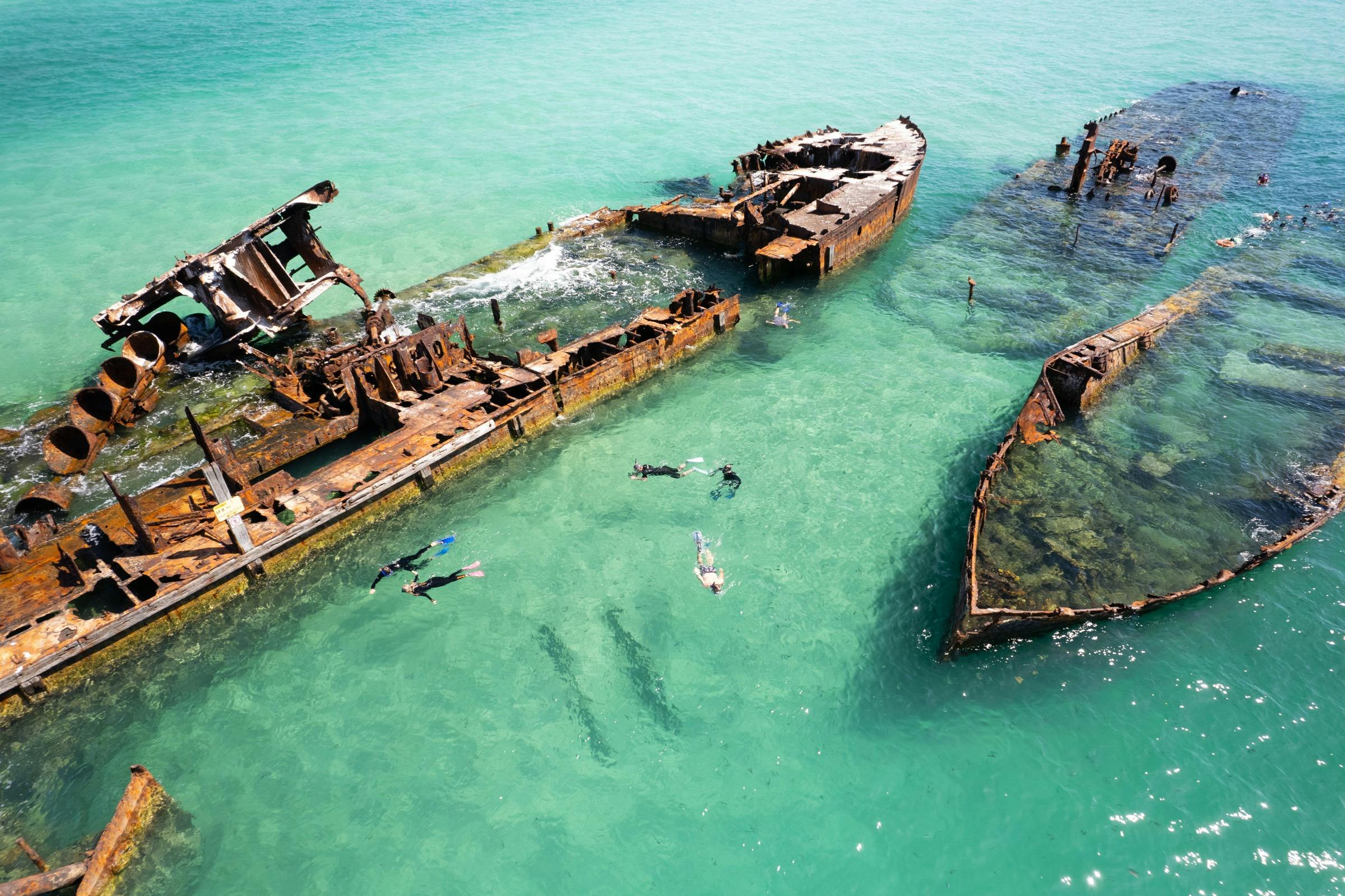 Snorkelling the tangalooma wrecks