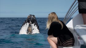 Whale Watch, Hervey Bay, Great Beach Drive.