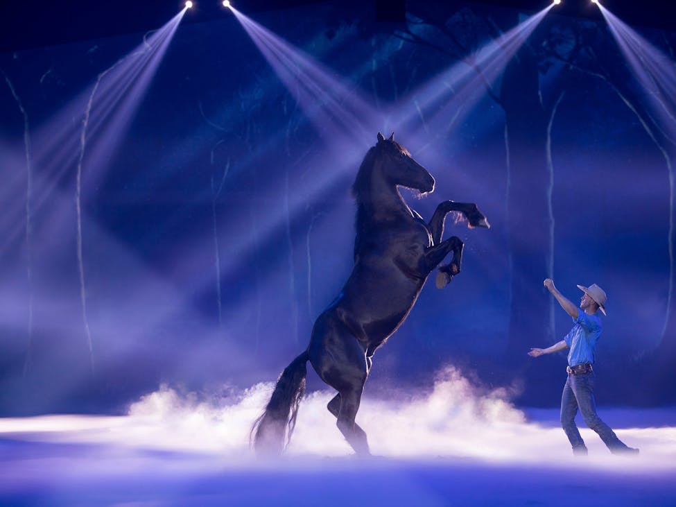 153471-2022_BNE_Mulgumpin_MoretonIsland-23