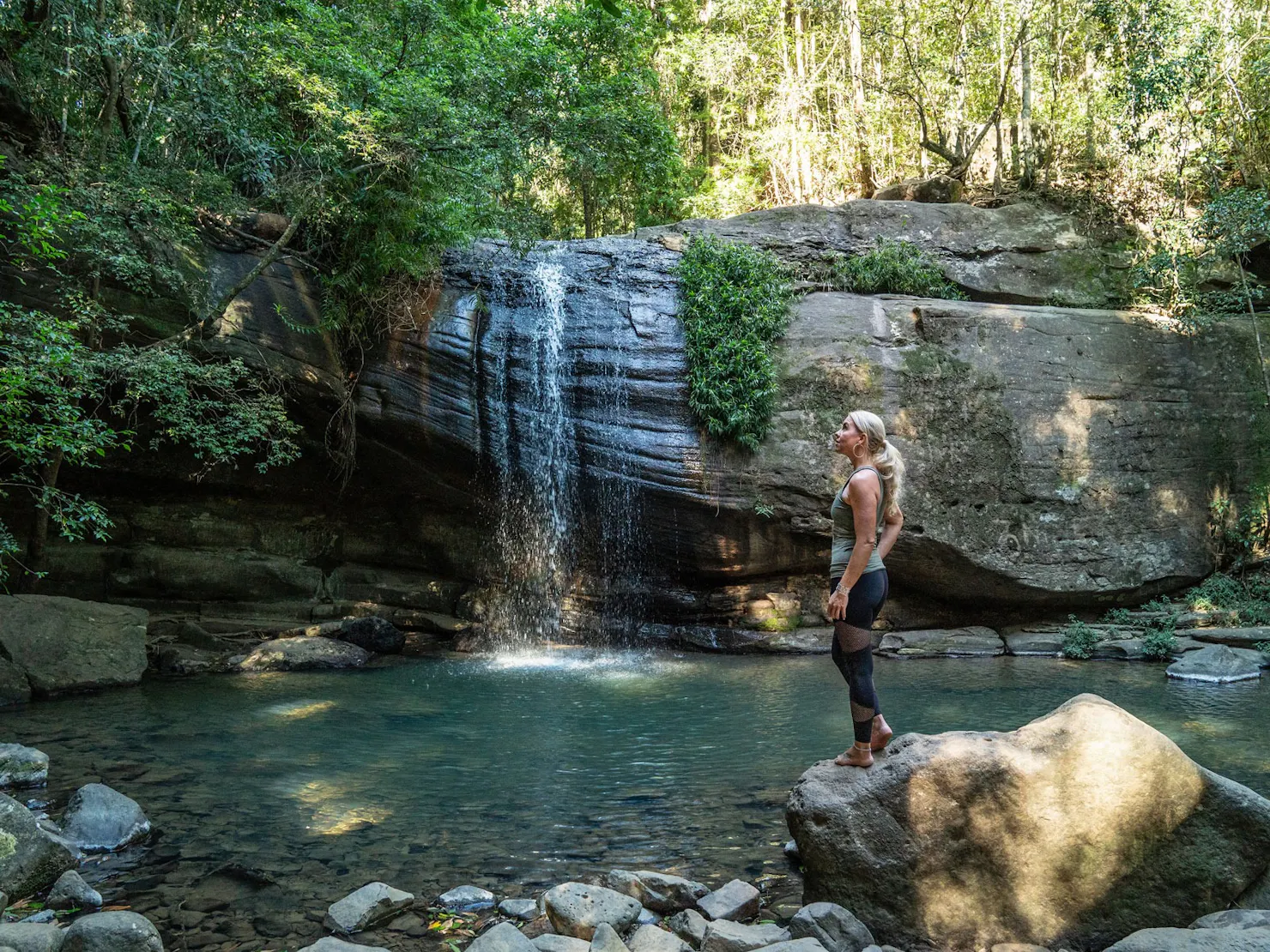 Buderim Forest Park, Buderim, Sunshine Coast