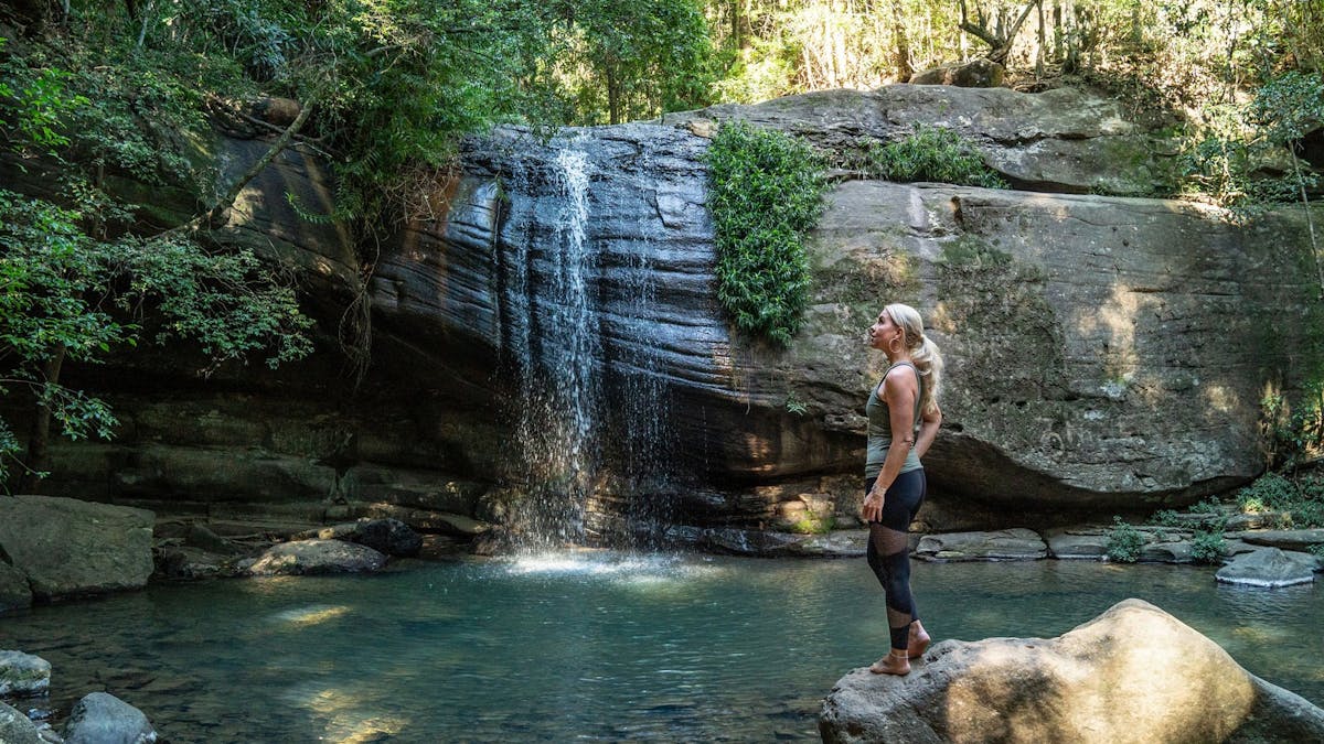 Buderim Forest Park, Buderim, Sunshine Coast