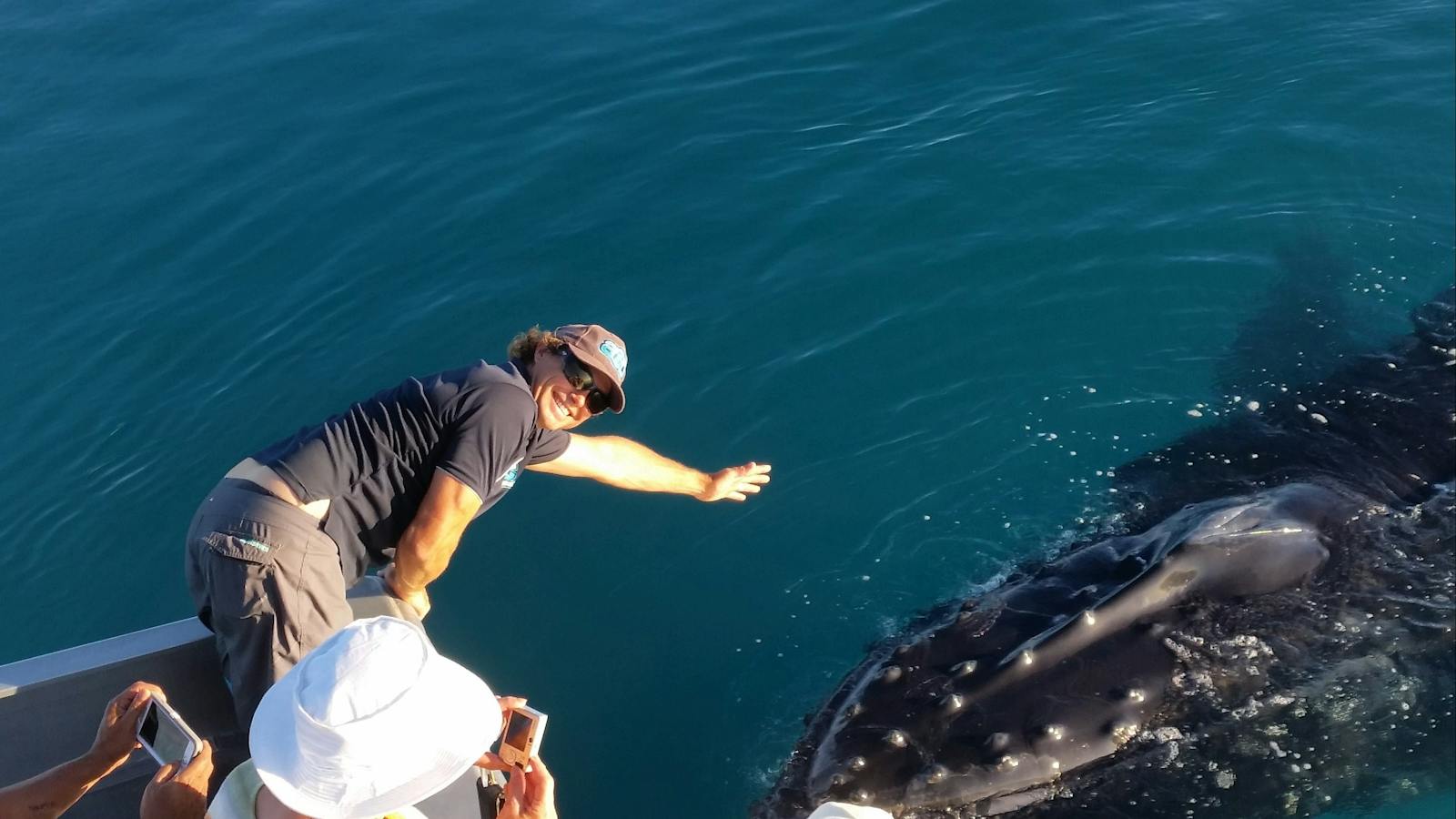 Whale watching Broome, Absolute Ocean Charters