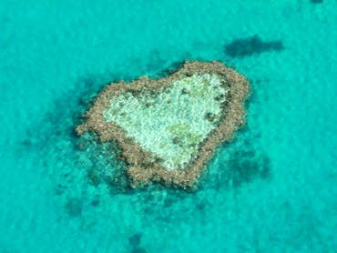 Heart Reef Heart Reef