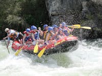 Sharks tooth rapid