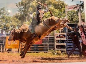 Bedourie Bull N Bronc Pit Cover Image