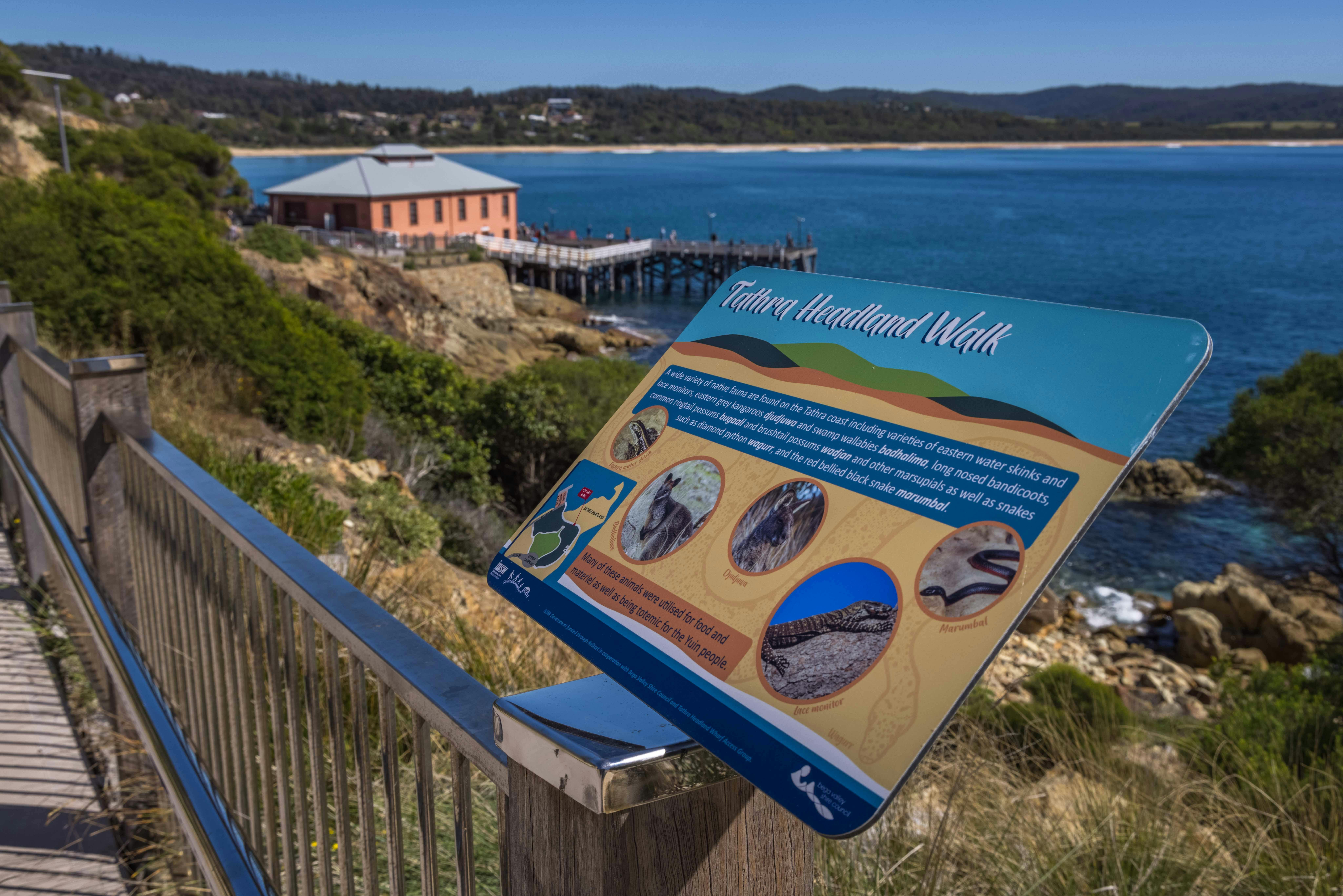 Tathra Headland Walk, Tathra, Sapphire Coast, NSW, Walks