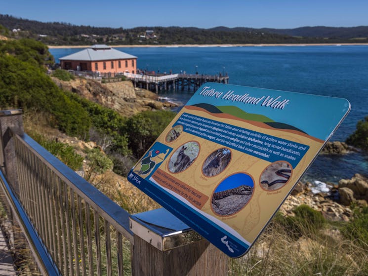 Tathra Headland Walk, Tathra, Sapphire Coast, NSW, Walks