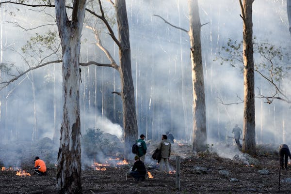 How Australia was made: A talk with Bill Gammage and Jonathan Jones