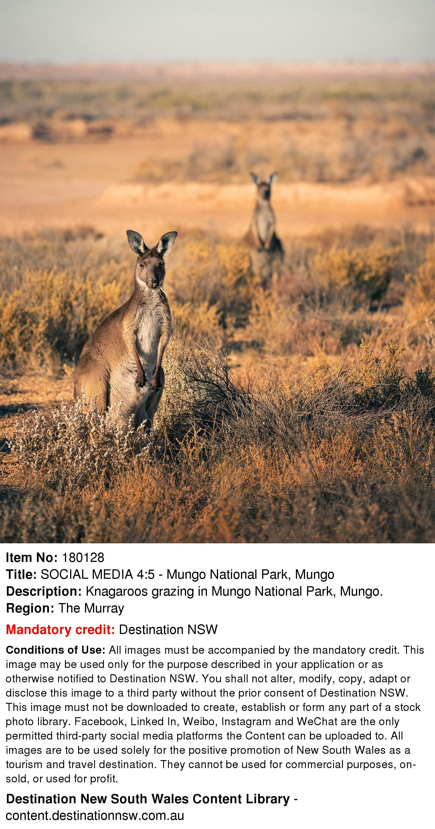 Mungo National Park