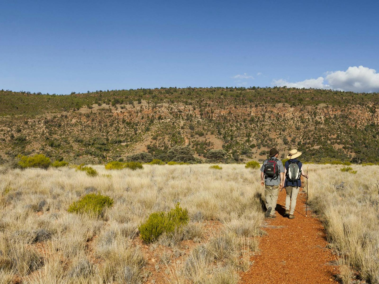 Valley of the Eagles walk, Gundabooka National Park. Photo: David Finnegan