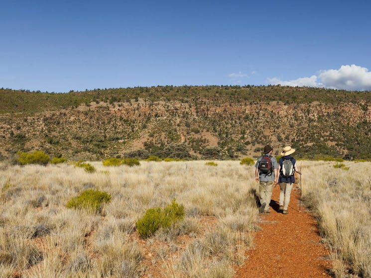 Valley of the Eagles walk, Gundabooka National Park. Photo: David Finnegan