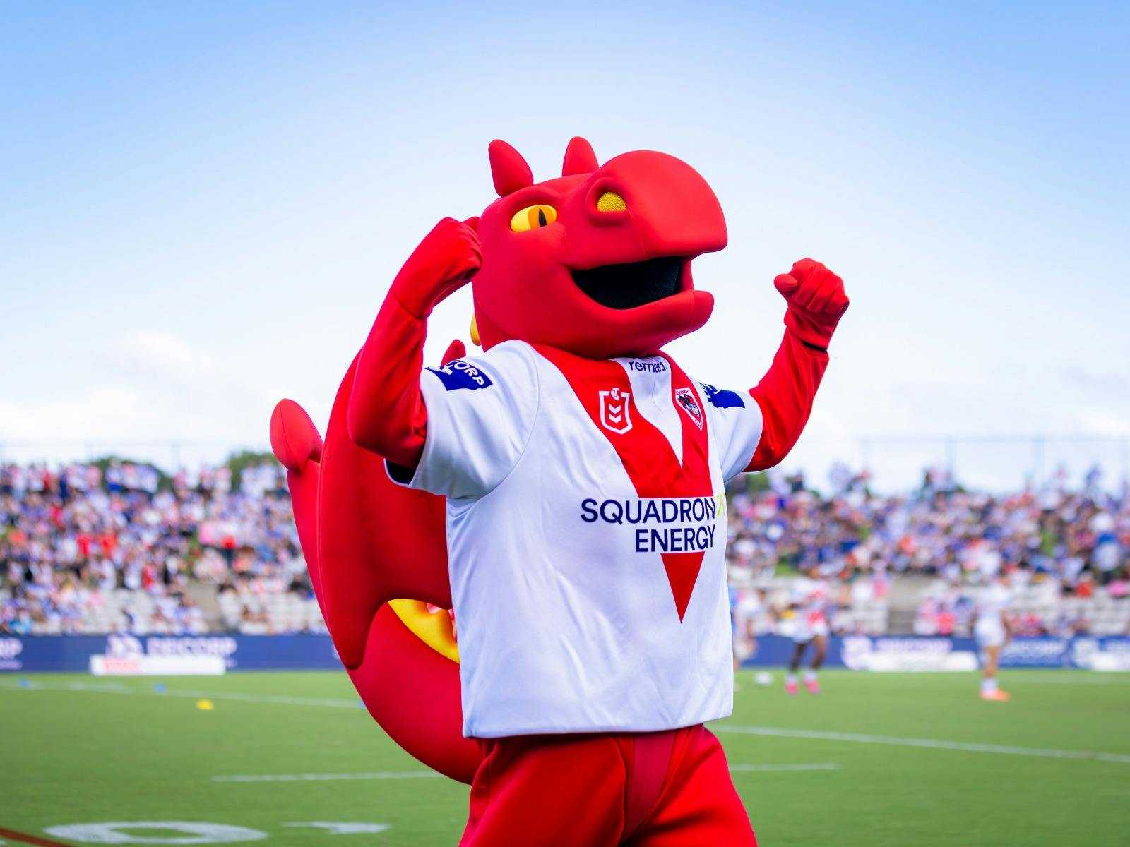 NRL St George Illawarra Dragons v Newcastle Knights (Round 13)