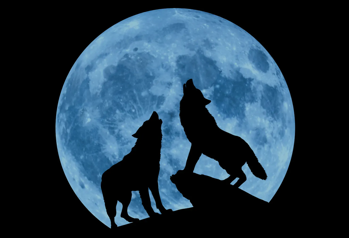 2 Wolf's howling in front of full moon