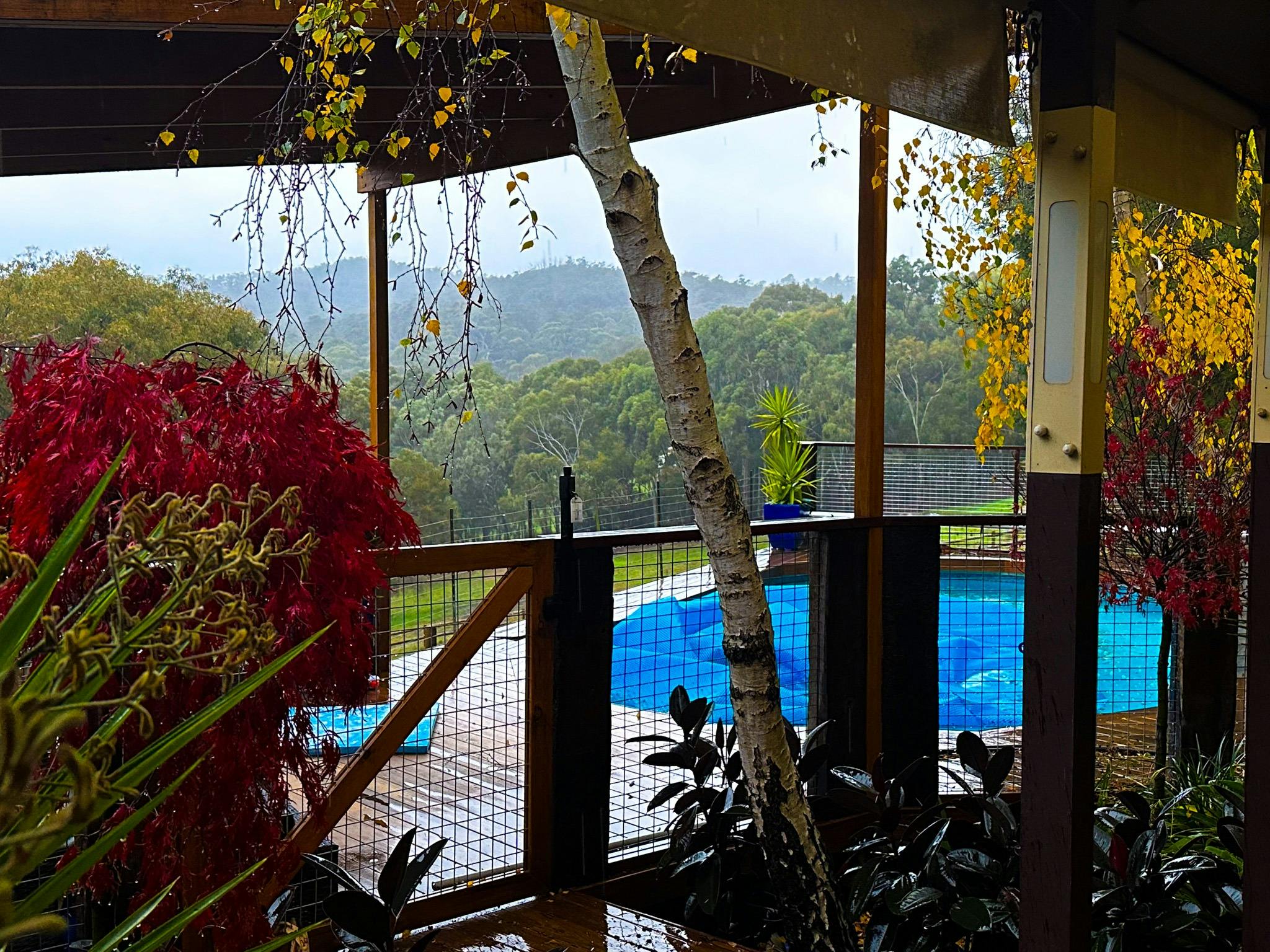 The Pool & Pool lounge viewed from the outdoor kitchen / BBQ area