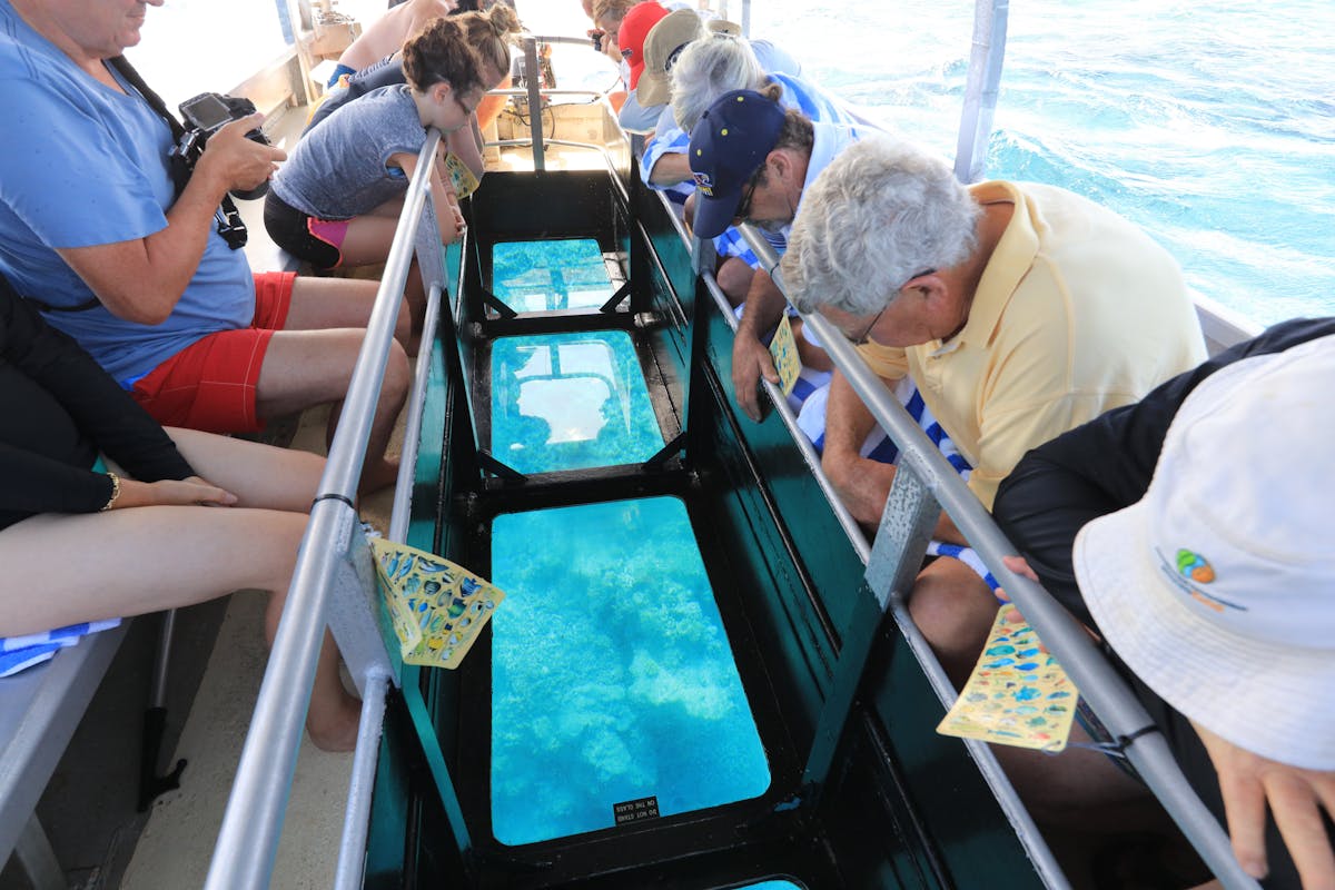 Picture of glass bottom boat
