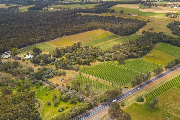 Island Brook Estate Vineyard, Cellar Door and Chalets