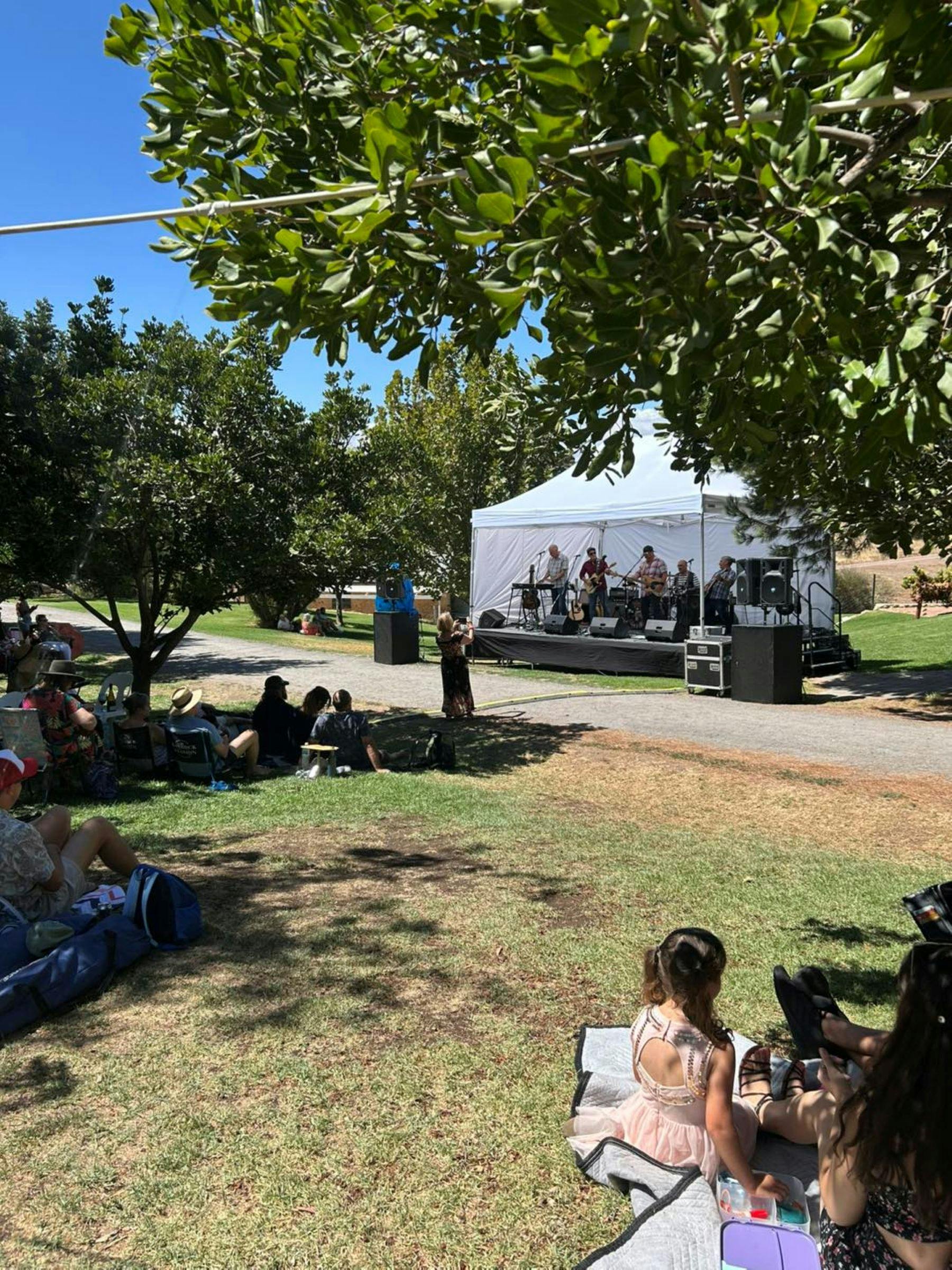 Summer Concerts
