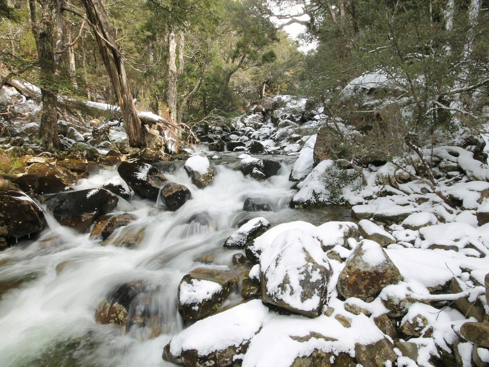 Meander River