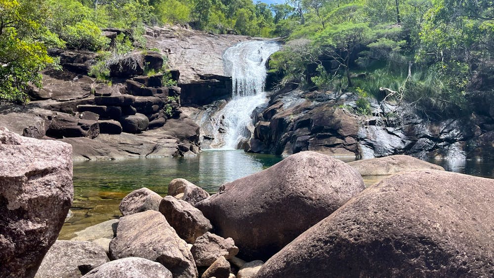 Wild Hinchinbrook Adventures