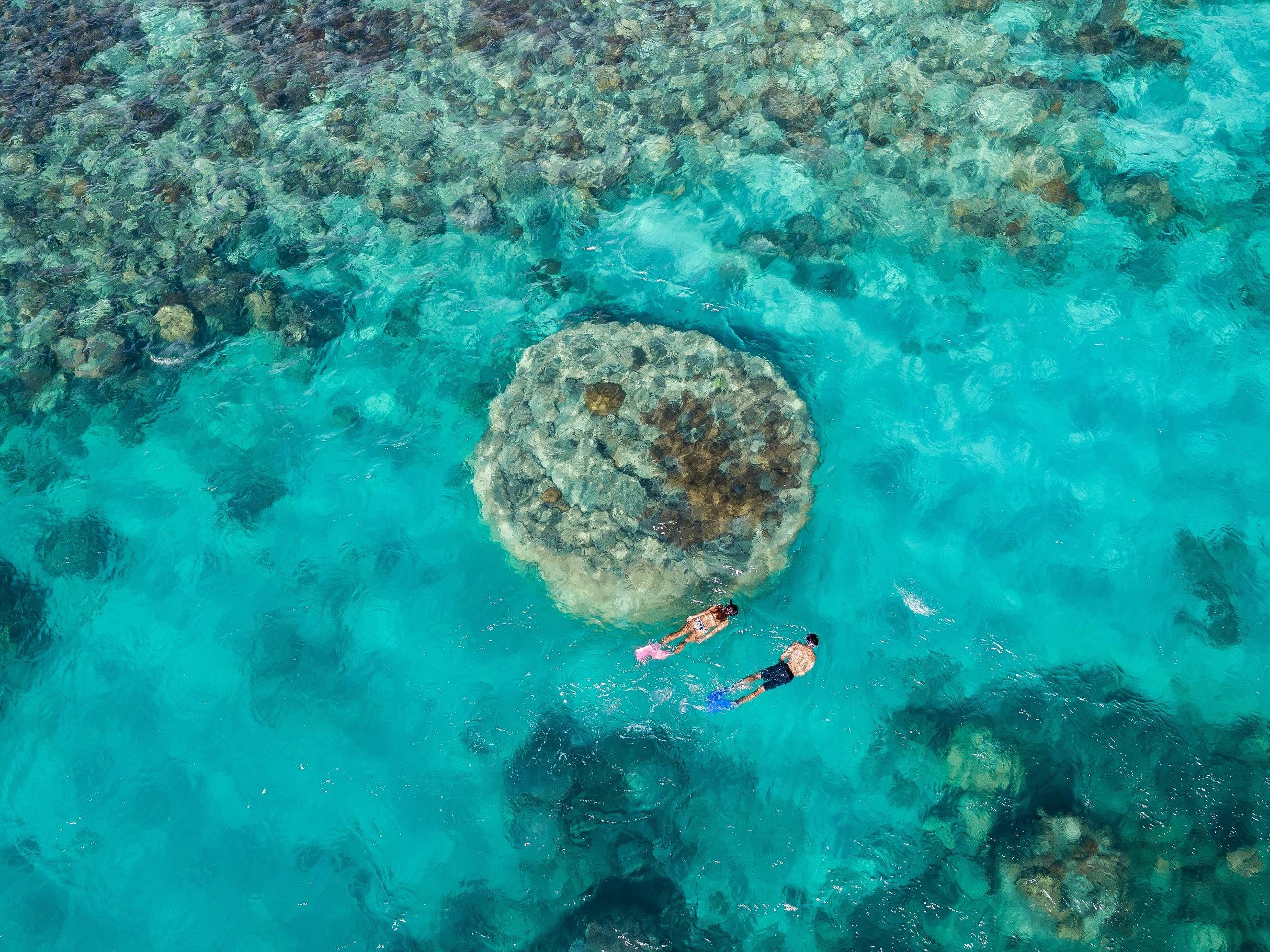 2 snorkellers exploring the reef and turquoise waters of Butterfly bay