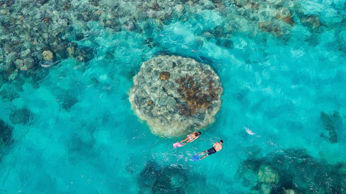 2 snorkellers exploring the reef and turquoise waters of Butterfly bay